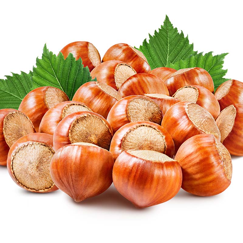 Hazelnuts